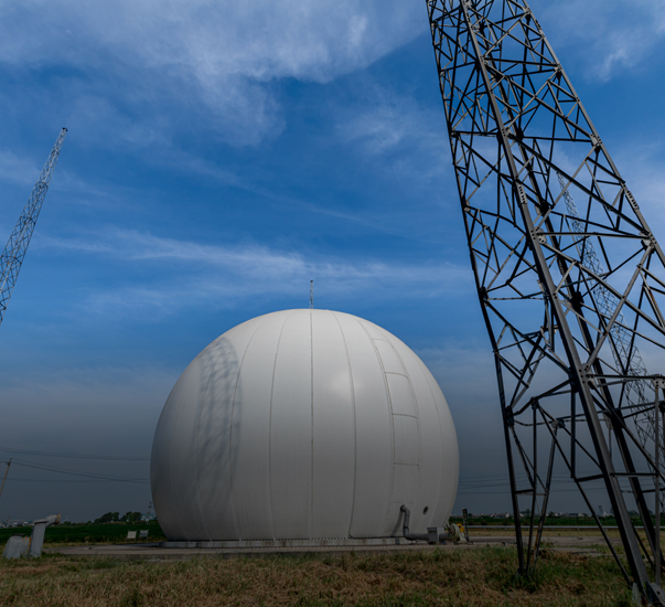 Biogas & Coal Gas Power Generation