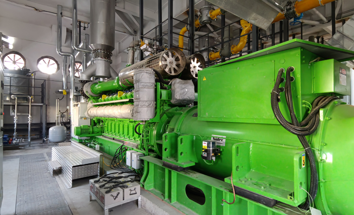 Biogas CHP Power Renovation Project,China